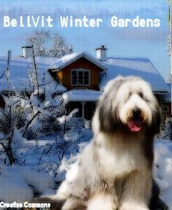 BellVit Winter Gardens