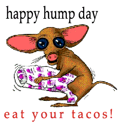taco hump day