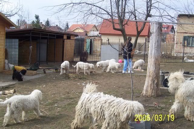 100_2955.jpg