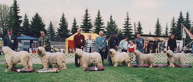 Gyoztesek.jpg