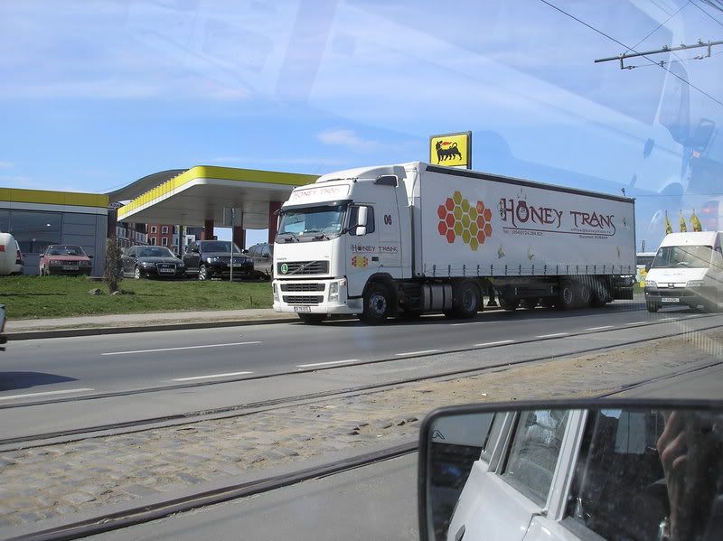 Honey-Trans.jpg