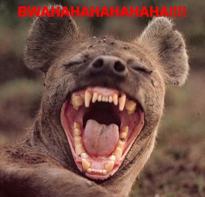 laughing_like_a_hyena.jpg