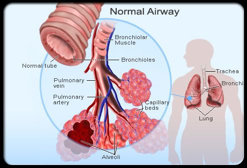 What is asthma and how do we treat it? | Christopher Johnson M.D. PICU