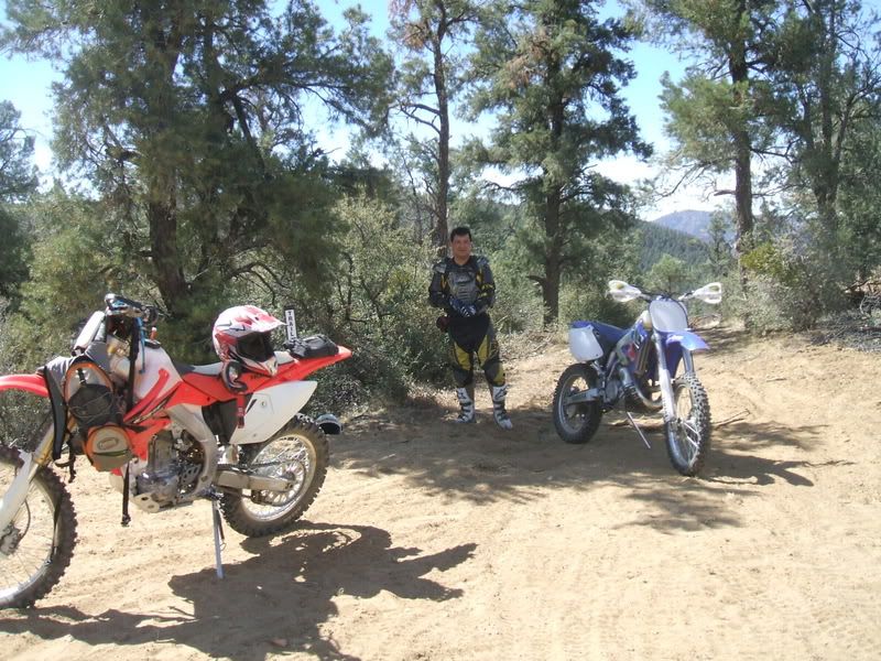 Posted Image