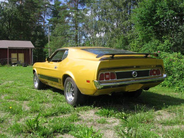 Mustang73001.jpg