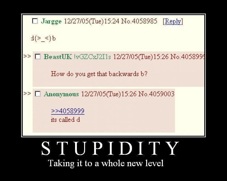 stupidity-1.jpg