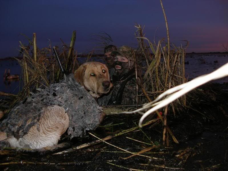 Grand Finally *PICS* Duck Hunting Forum