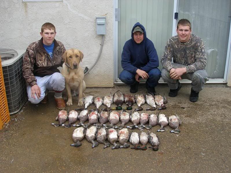 let the killing begin Duck Hunting Forum