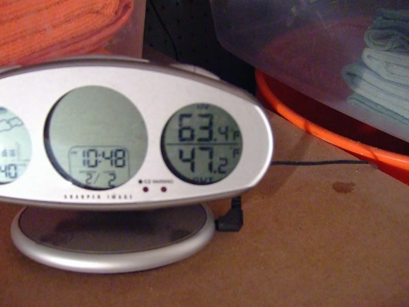 temp.jpg