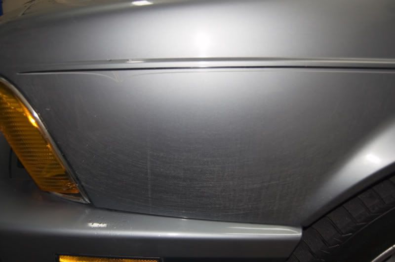 fender_wtf3.jpg