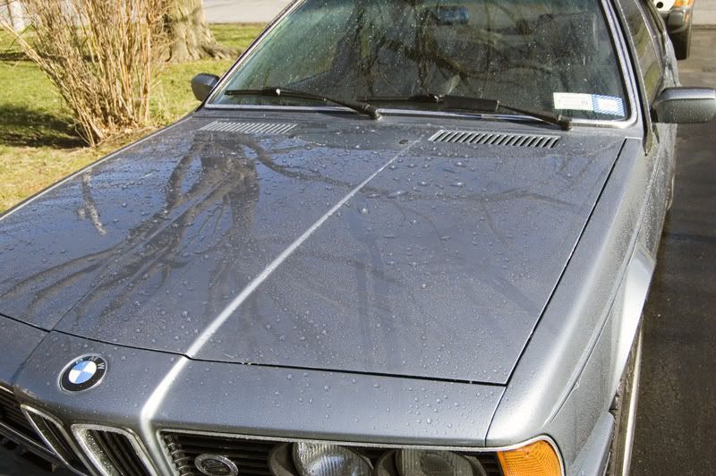 nowax_hood.jpg