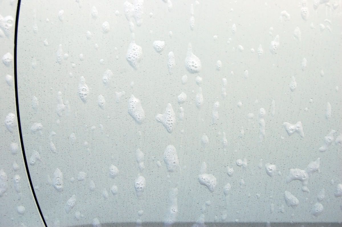 during-foam-1.jpg