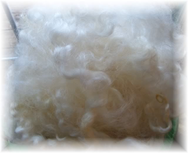 Cotwold Fleece ~ washed