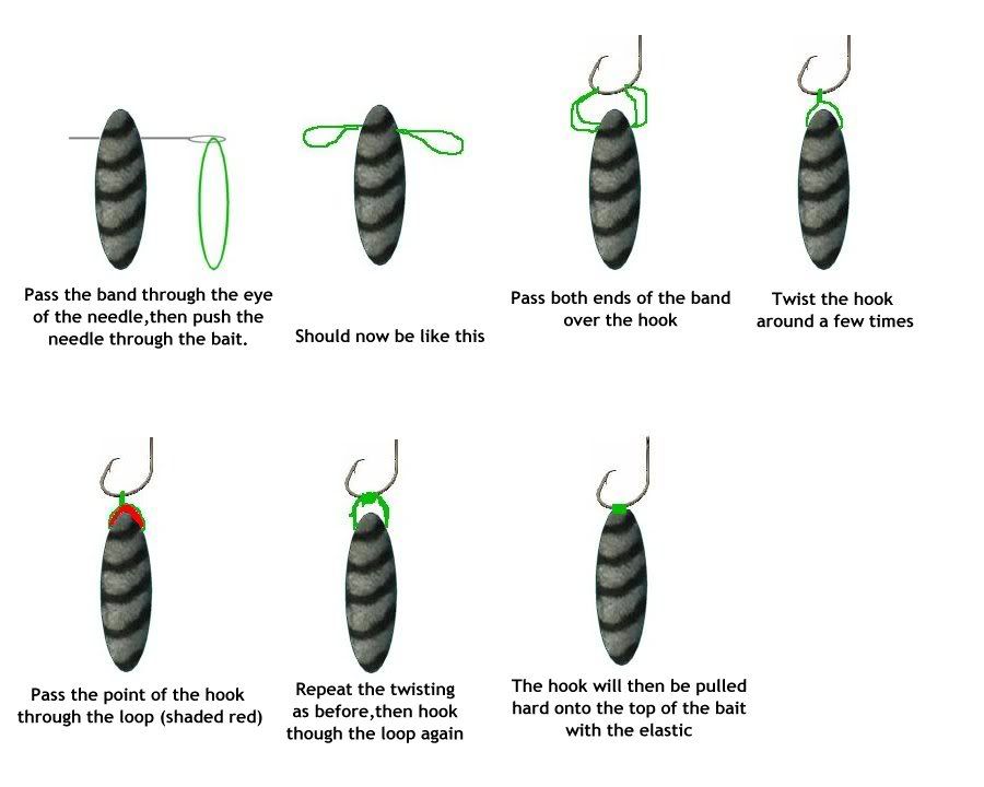 hair rigs for sea fishing