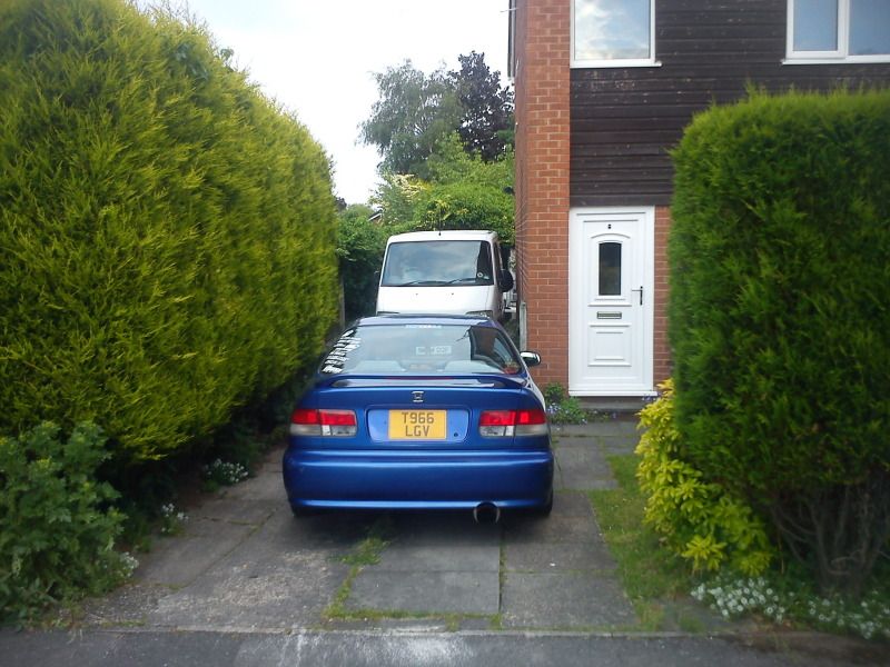 [Image: DSC00853.jpg]