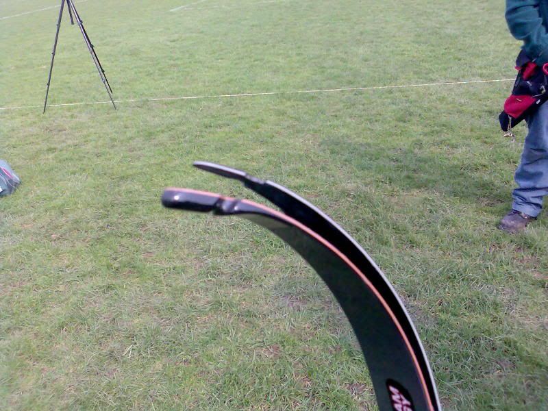 What does it mean when a limb delaminates? r/Archery