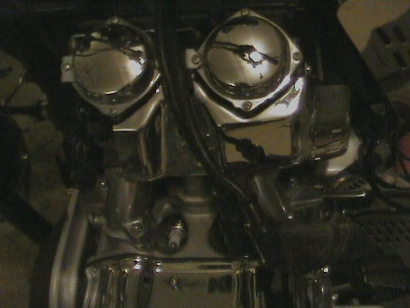 [Image: DCAM0001.jpg]