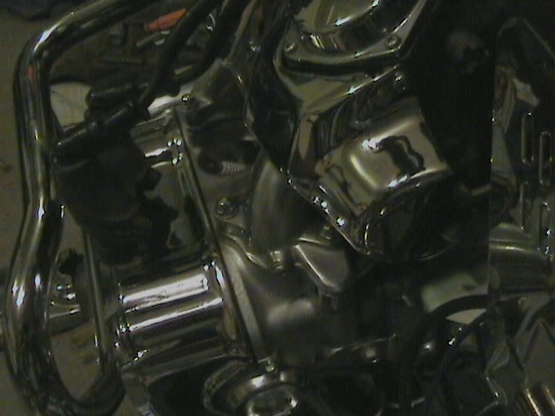 [Image: DCAM0002.jpg]