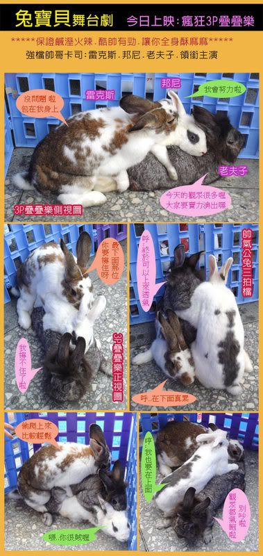 圖檔