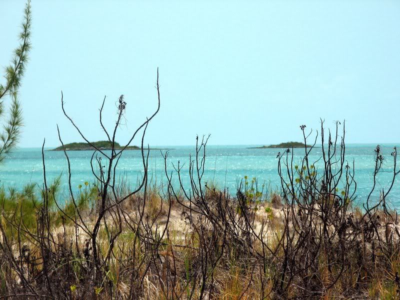 IMAGE: http://i82.photobucket.com/albums/j249/timjc/HalfMoonBayBeach-sandbar.jpg