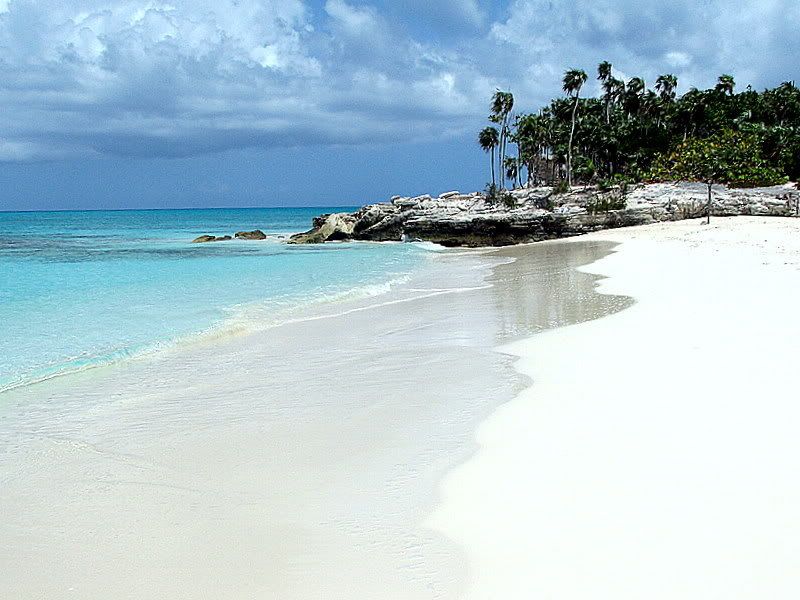 IMAGE: http://i82.photobucket.com/albums/j249/timjc/IMG_4483.jpg