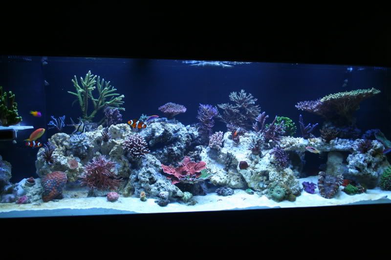 FTS9-9-082.jpg