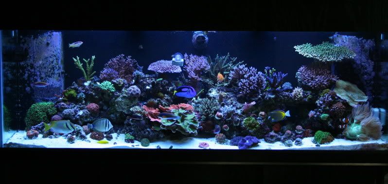 FTS-4.jpg