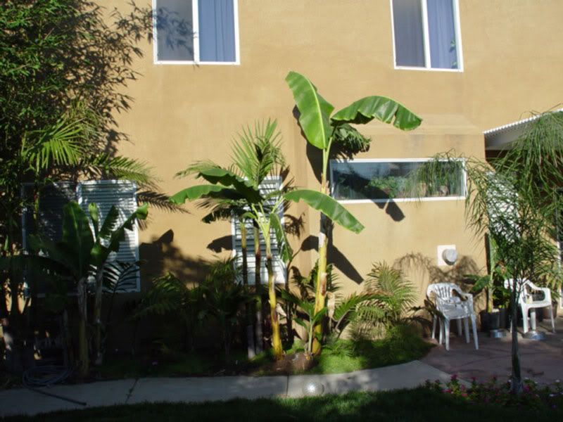 nwwall108001.jpg
