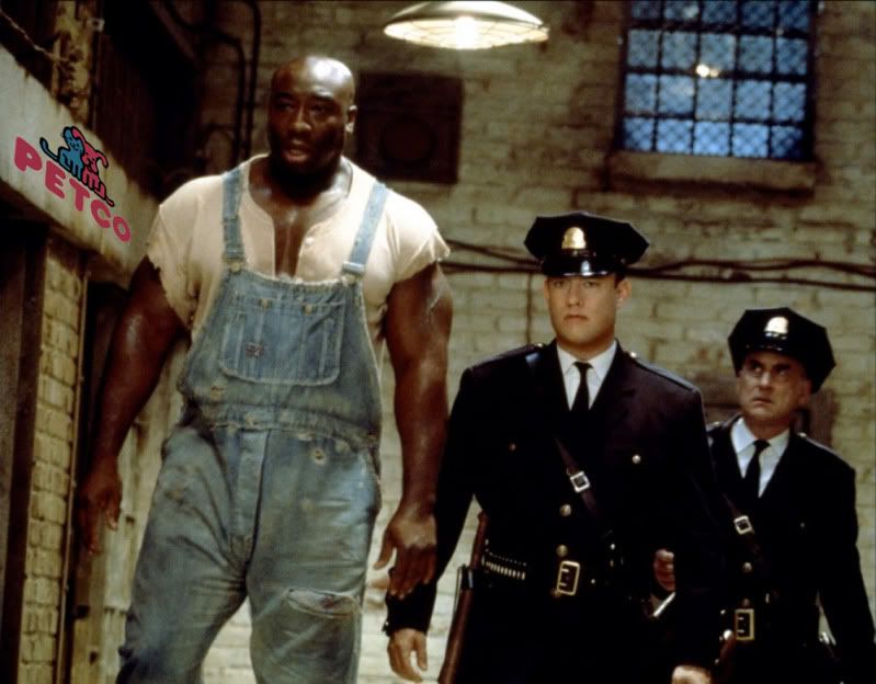 Live fish from General Discussion NanoReef Community