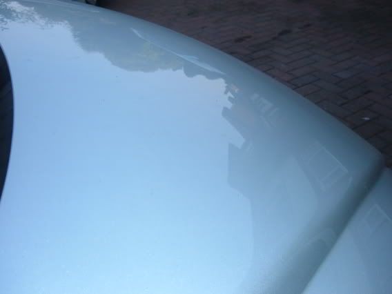 DSCF1208.jpg