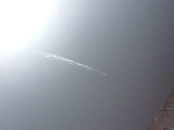 DSCF1209.jpg