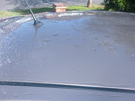 DSCF1686.jpg