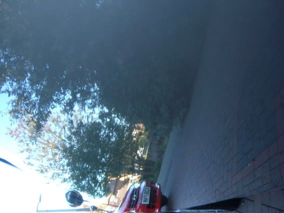 DSCF1708.jpg