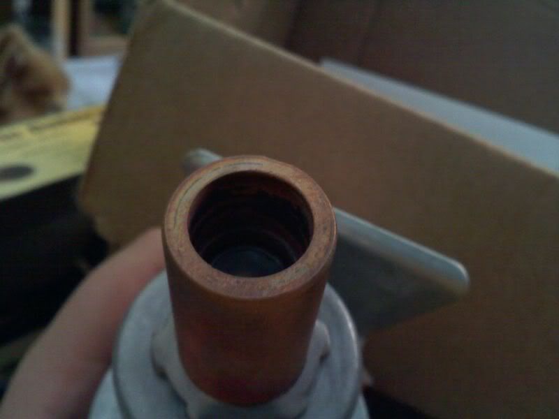 Disbudding/Scur Question - Goats