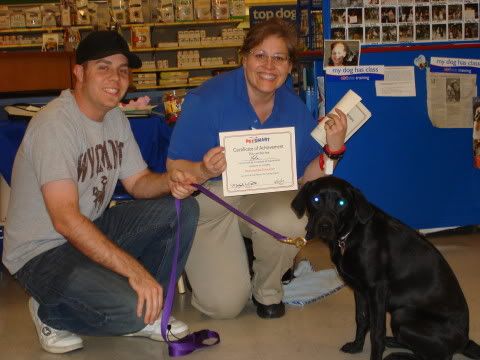 dog-training photo:obedience training for dogs 