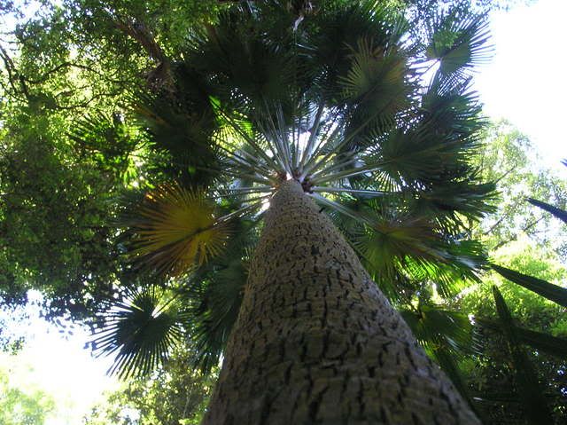 P4090413.jpg