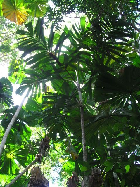 P4110683.jpg