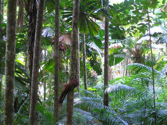 P4110690.jpg