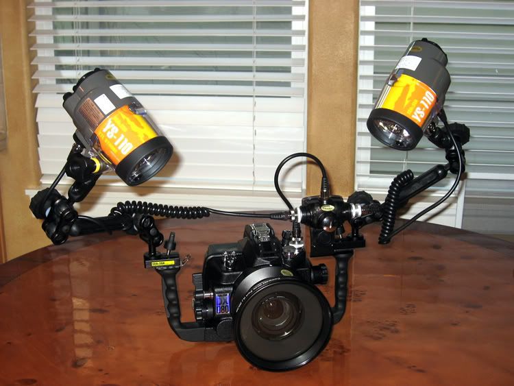 DX80-1.jpg
