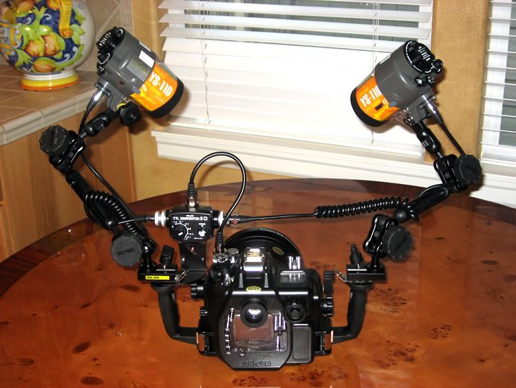 DX80-2.jpg