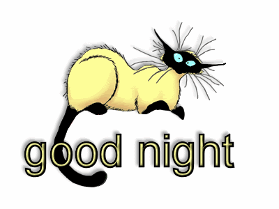 cats/goodnight