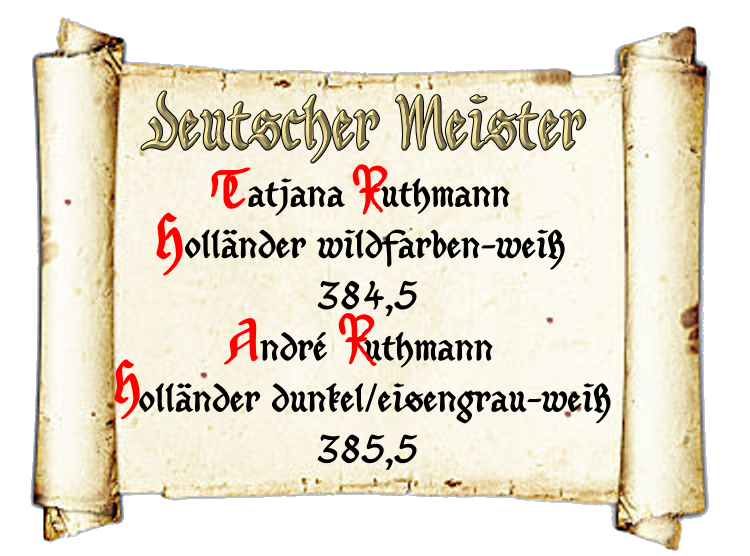 deutscher-Meister_StV_2011.png 