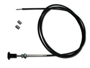 Free Template from AuctionInsights.info