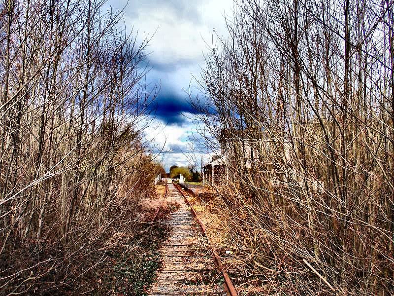 IMAGE: http://i82.photobucket.com/albums/j257/viragopilot/Adare%20station/overgrownpsp.jpg