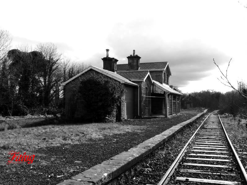 IMAGE: http://i82.photobucket.com/albums/j257/viragopilot/Adare%20station/stnbw-1.jpg