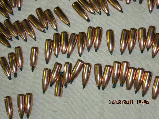 010.jpg