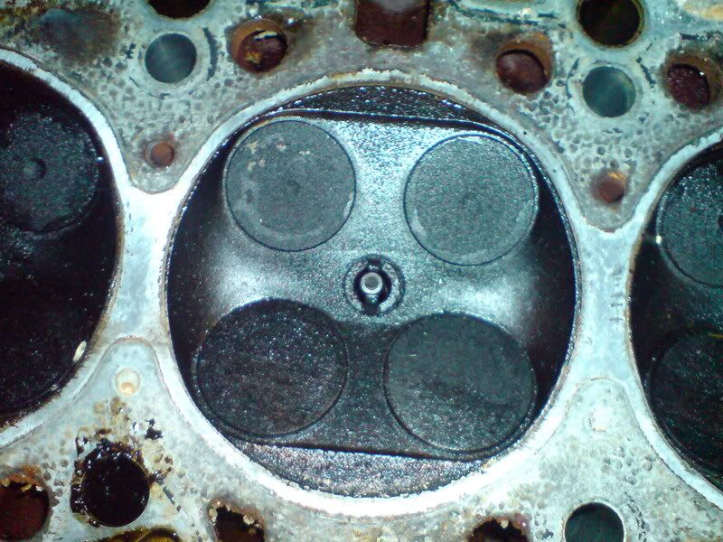 DSC00112-1.jpg