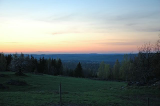DSC_0011.jpg