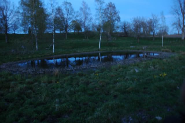 DSC_0013.jpg