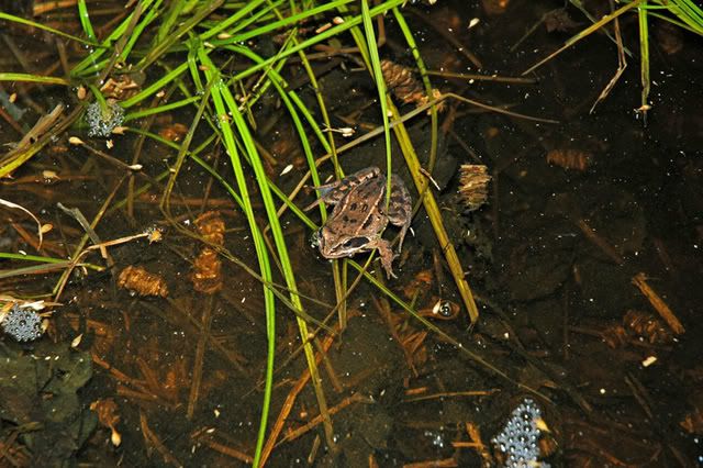 DSC_0092.jpg